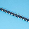 SCSL-20