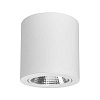 Светильник SP-FOCUS-R140-30W Day White 021428