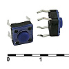 WS6543-250AL