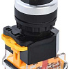 Переключатель D8-11X2 2 полож. 1з+1р черный BSW30-11X2-3-24-2-K02